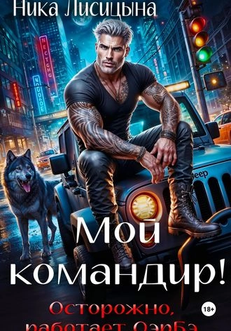 Мой командир!