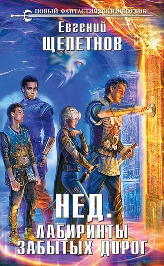 Нед. Лабиринты забытых дорог. Книга 4